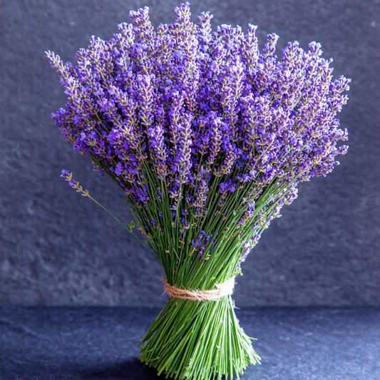 Paveikslas ant drobės - Levanda