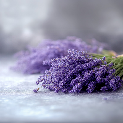 Paveikslas ant drobės - Levandų prisilietimas