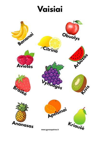 Spalvoti mokslų draugai – aštuonių plakatų rinkinys