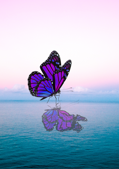 Plakatas - Drugelio ramybė