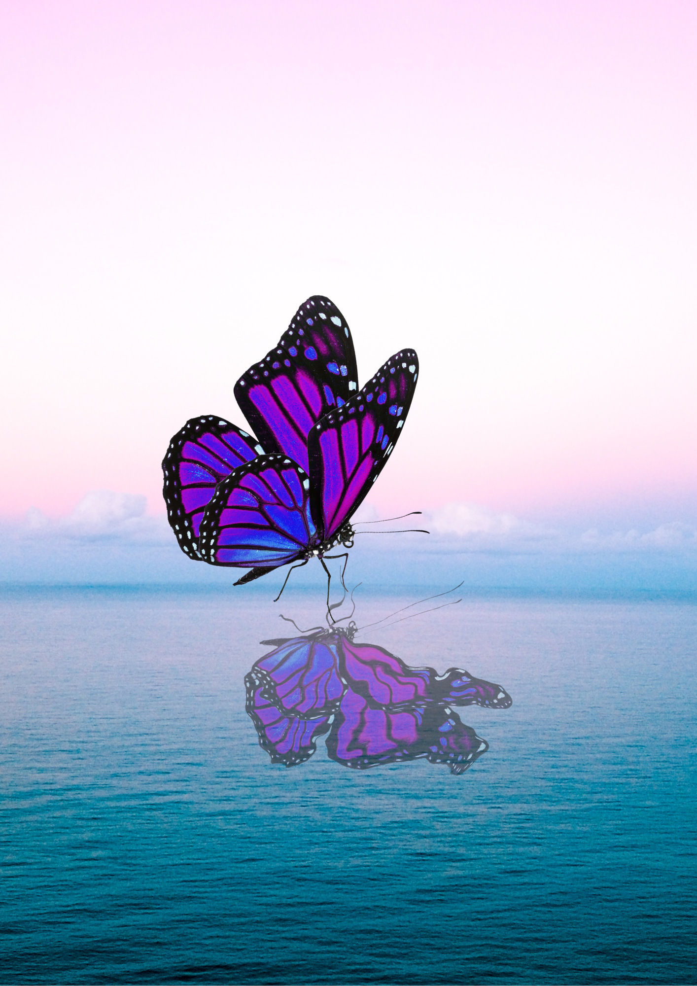 Plakatas - Drugelio ramybė