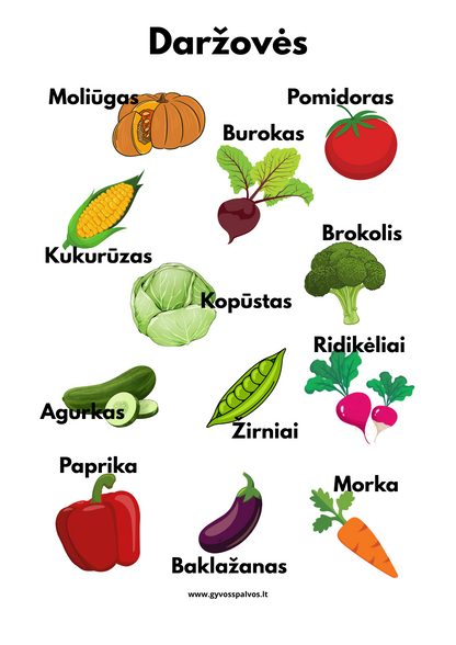 Spalvoti mokslų draugai – aštuonių plakatų rinkinys