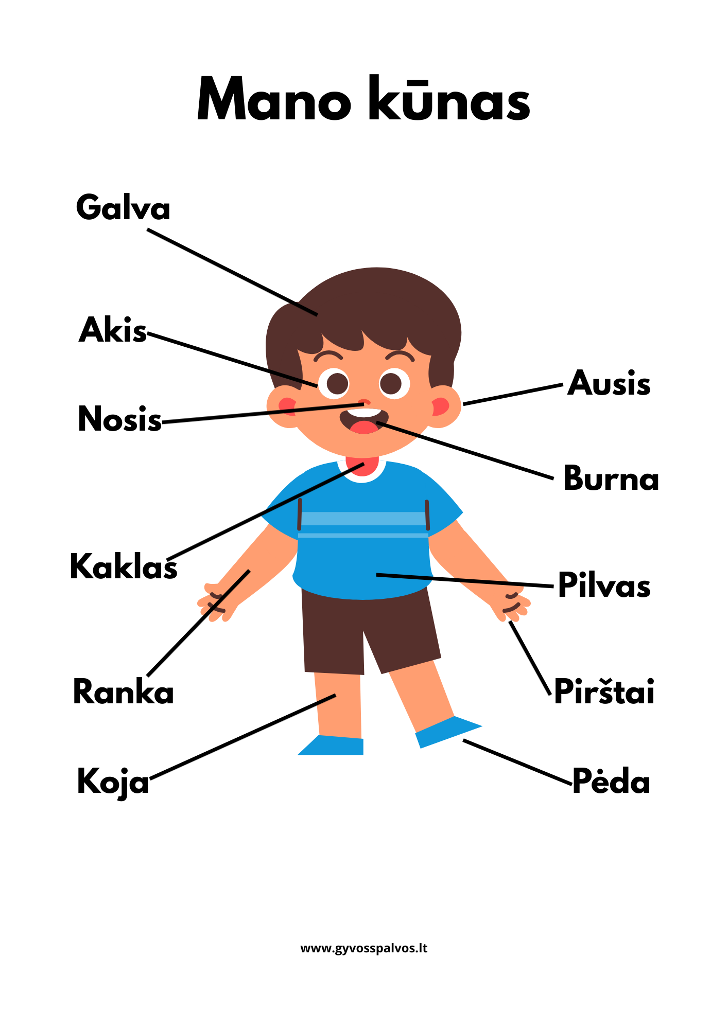 Spalvoti mokslų draugai – aštuonių plakatų rinkinys