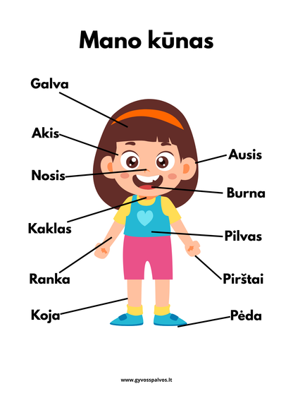 Spalvoti mokslų draugai – aštuonių plakatų rinkinys